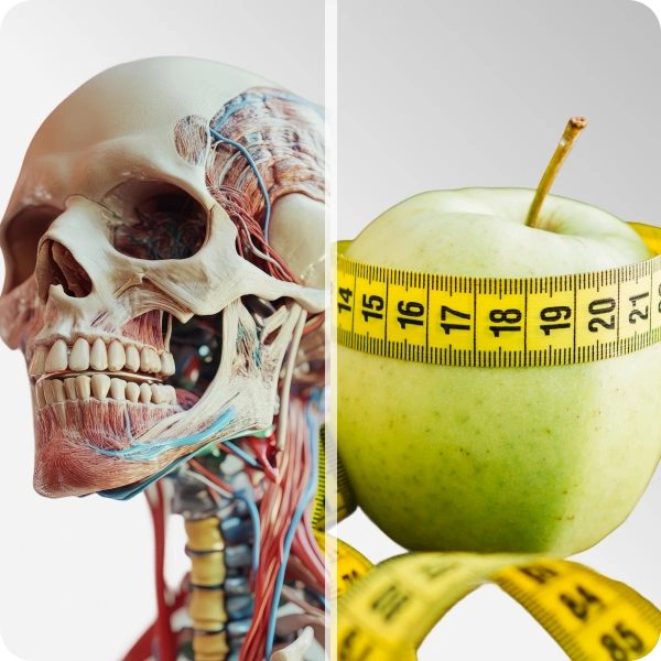 Anatomia i fizjologia & Podstawy dietetyki