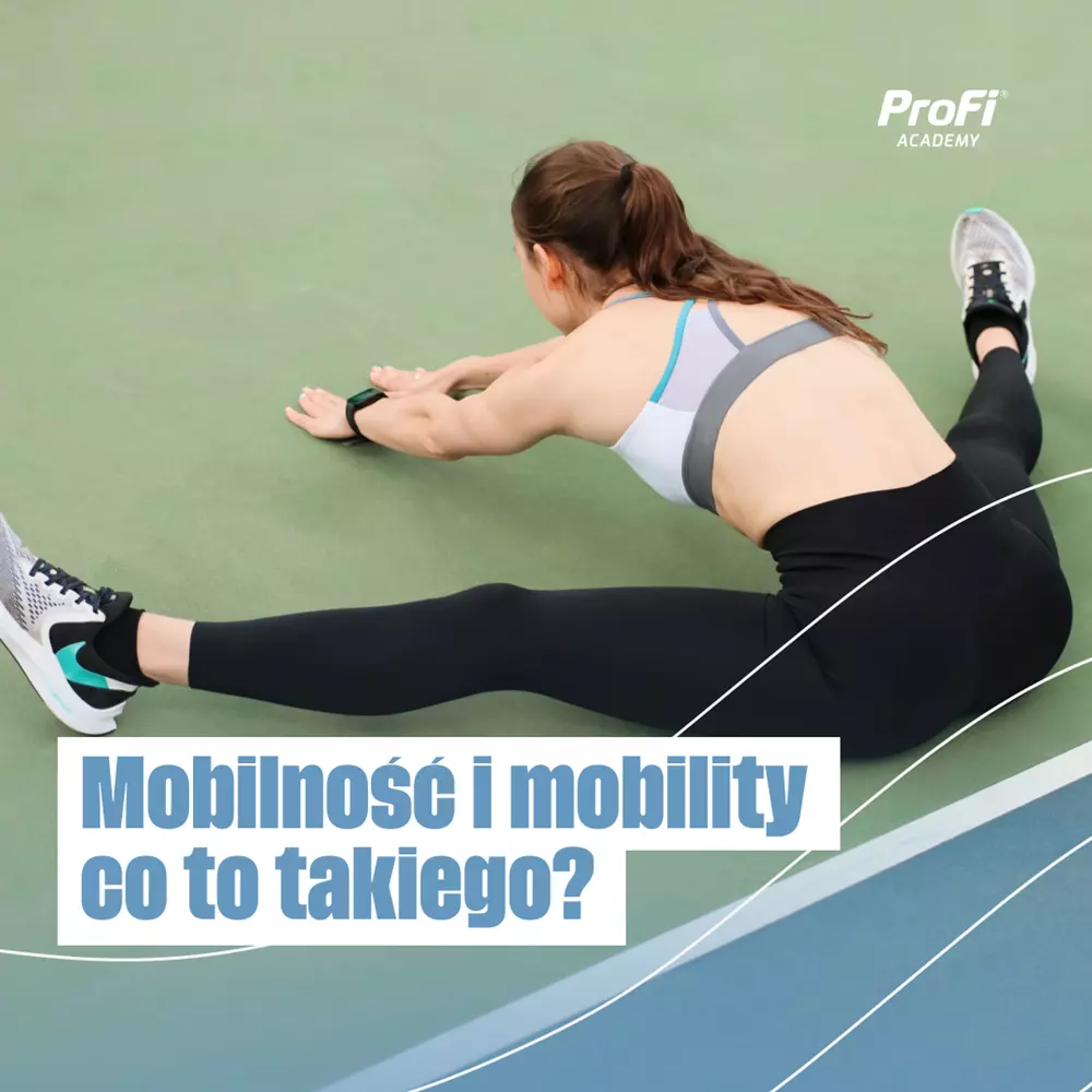 Mobilność i mobility co to takiego?