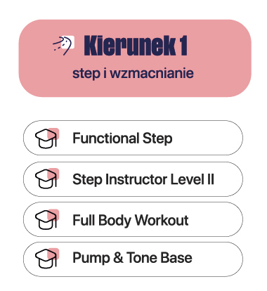 Kierunek 1 : step i wzmacnianie