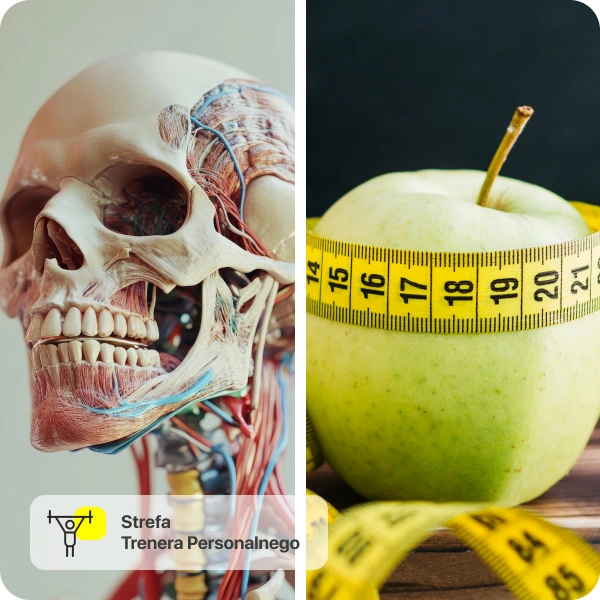 Anatomia i fizjologia & Podstawy dietetyki